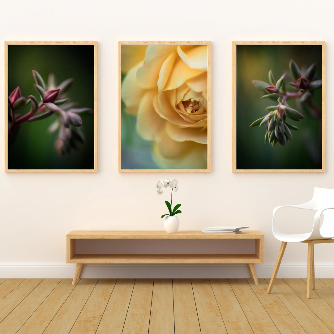 Featured Botanicals-Artful Florals for Refined Interiors