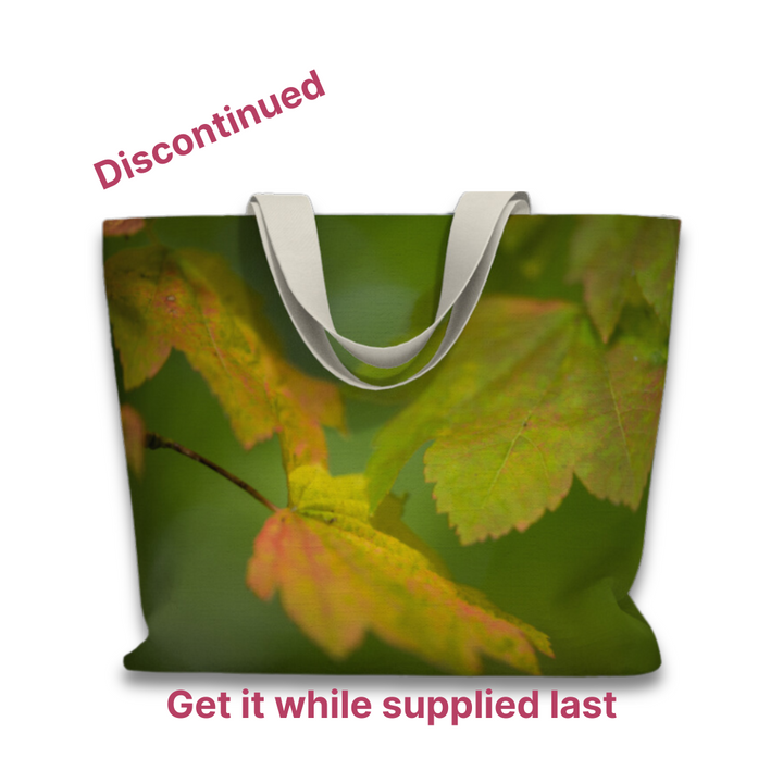 It looks like Fall Market Tote