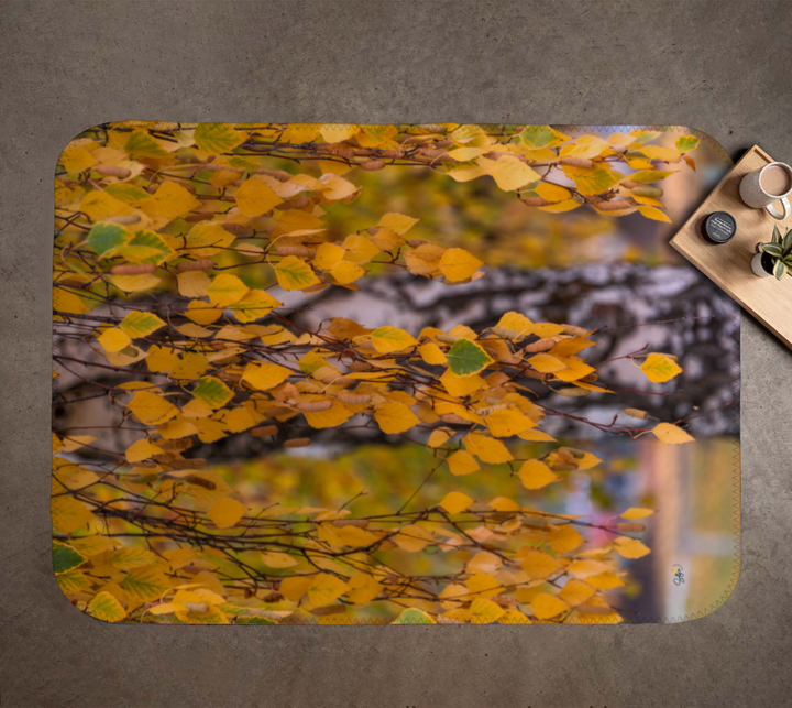 Fall Minky Blanket