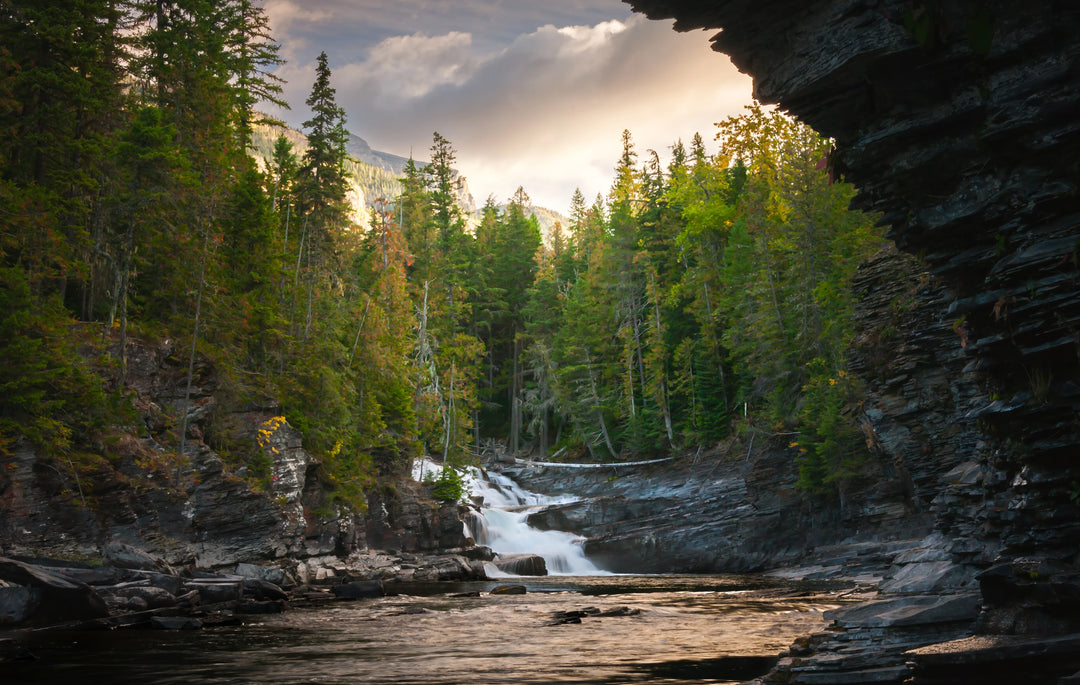 Waterfall flowing through a rocky canyon surrounded by evergreen forest in Glacier National Park with soft light illuminating the trees and water.
