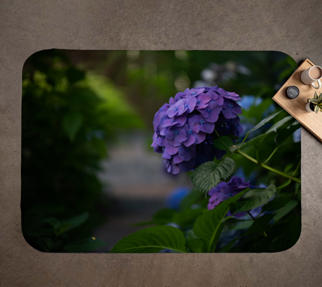 Purple flower with green leaves on a dark background