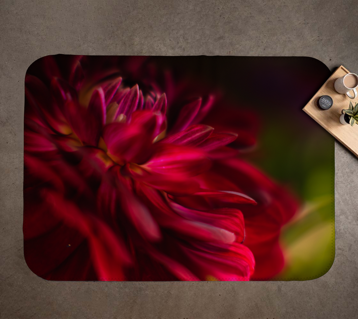 Red flower on a dark background