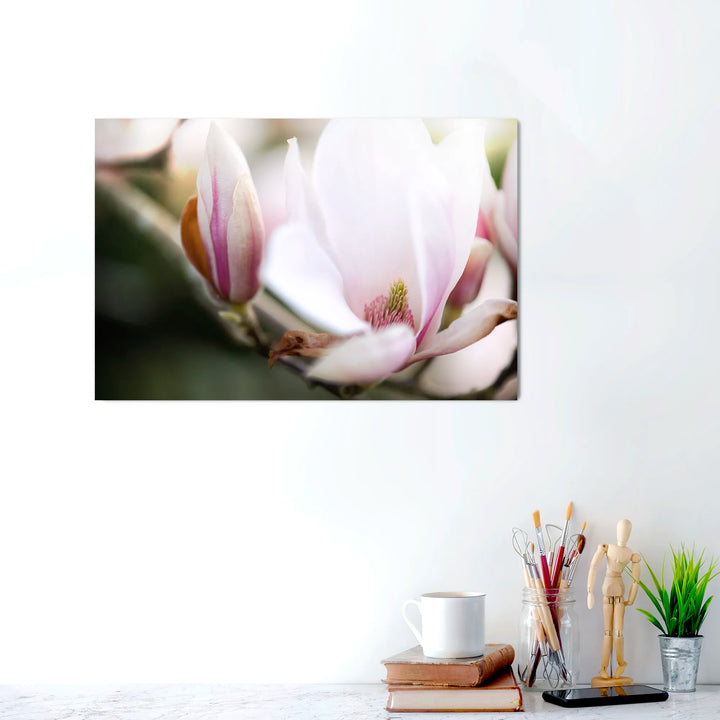Magnolia Fine Art Photograph on a wall above a desk with books, a mug, and decorative items.