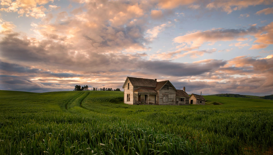 Old farmhouse sitting in green wheat fields in the rolling hills of the Palouse in Washington under a dramatic sunset sky.