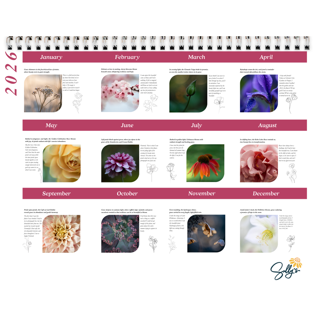 generated-preview-13