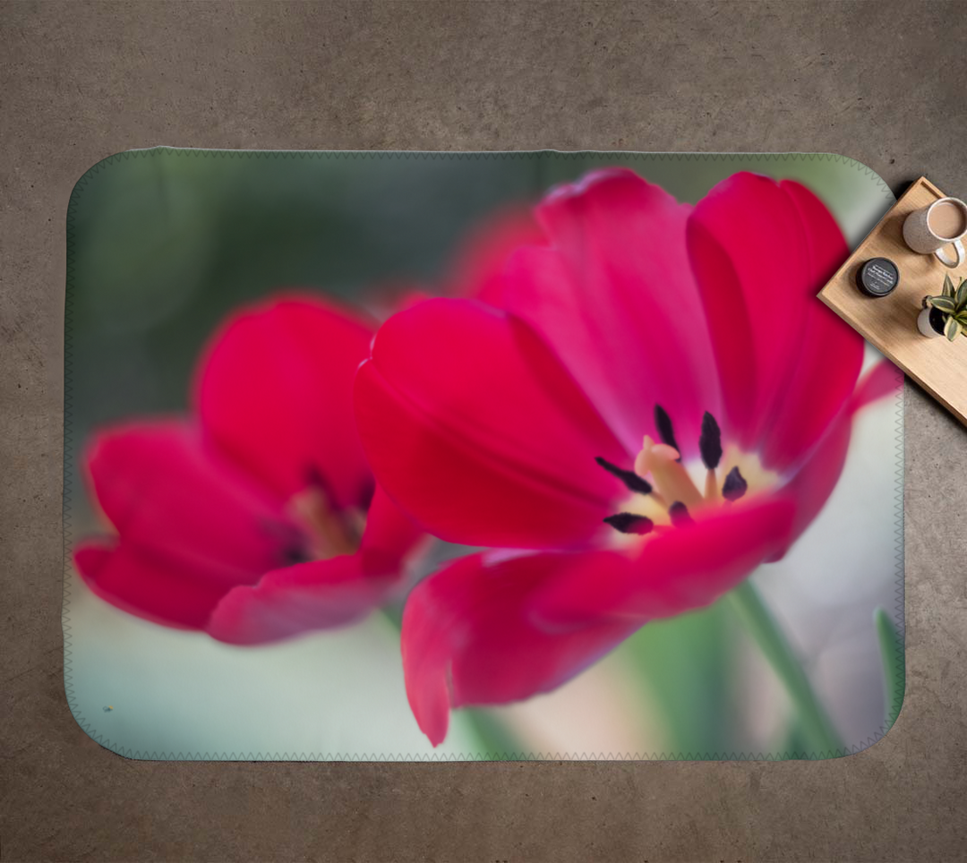 Red Tulips Minky Blanket