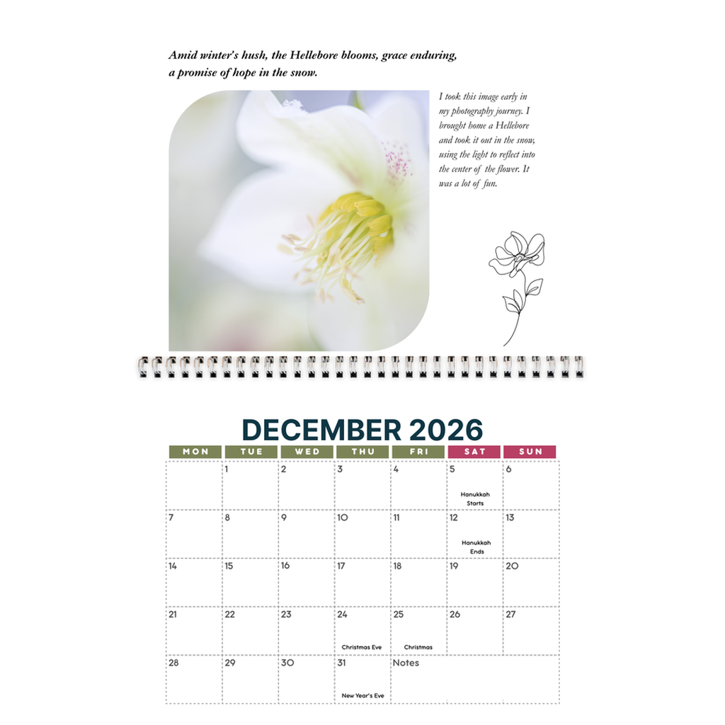 generated-preview-12