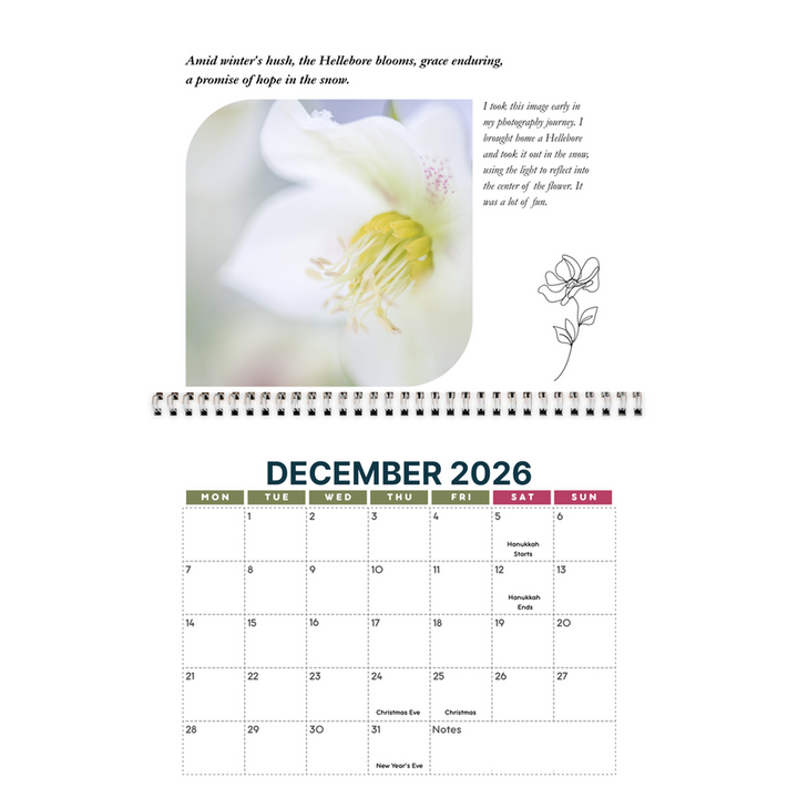 generated-preview-12